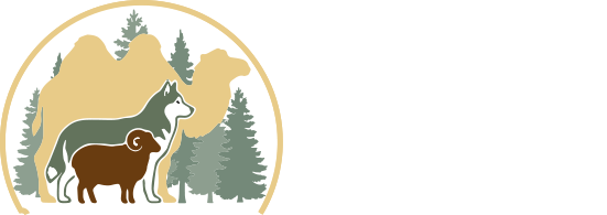 Kamele.at